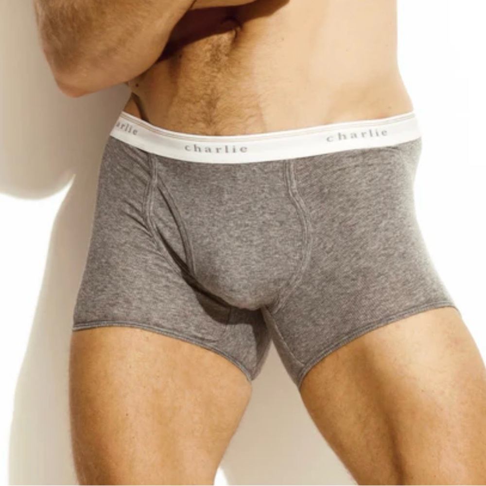 NEW. Charlie by Matthew Zink. Original Ribbed Boxer. Grey. Size M.